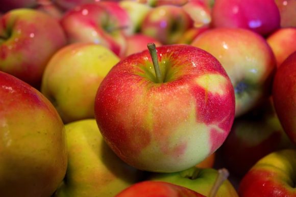 Applen protein