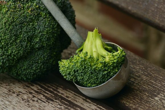 Broccoli protein
